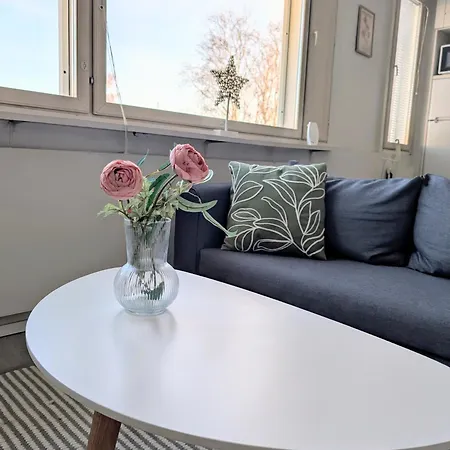 Cozy Studio In Kemi City