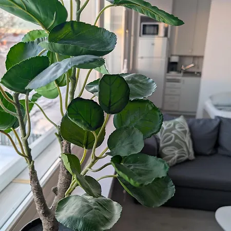 Cozy In Appartement *