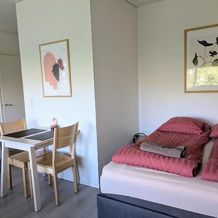 Cozy Studio In Kemi City Apartamento