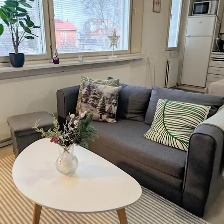 Cozy Studio In Kemi City *