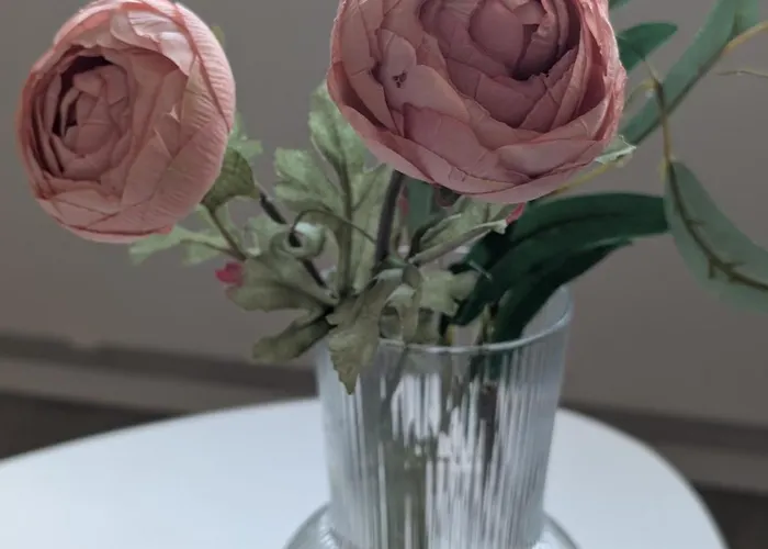 Cozy In Lägenhet Kemi